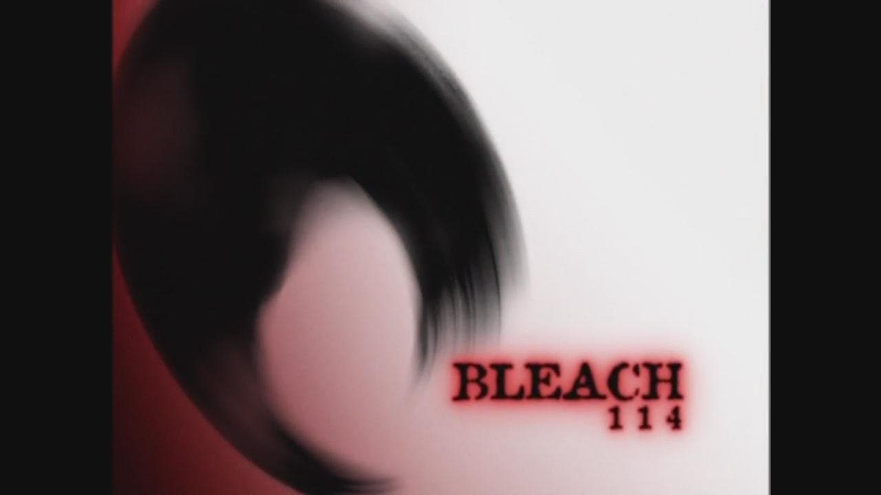Reunion, Ichigo and Rukia and Soul Reapers still
